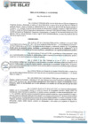 Vista preliminar de documento RG 54-2025-MDI-GM