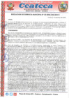 Vista preliminar de documento RGM-N°025-2025