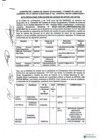 Vista preliminar de documento CAMBIO DE RUPO OCUPACIONAL Y CAMBIO DE LINEA DE CARRERA 2025