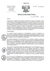 Vista preliminar de documento RD-053-2021-DG-INCN