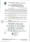 Vista preliminar de documento RESOLUCION DE ALCALDIA 081-2025
