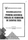 Vista preliminar de documento RESUMEN EJECUTIVO MPH 2025 - 1