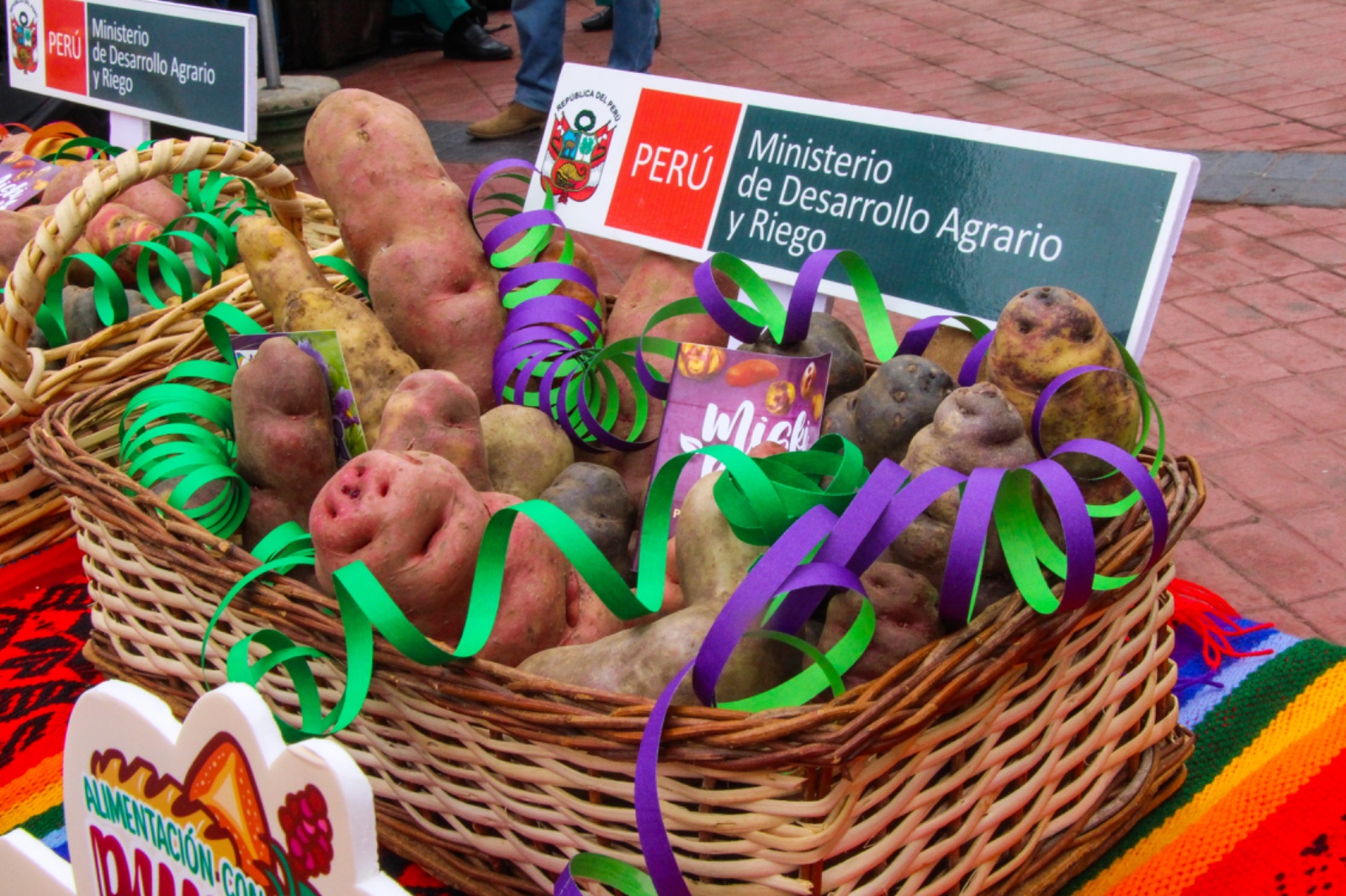 MIDAGRI: Más de 700 mil agricultores de 19 regiones sustentan la producción de papa en el país