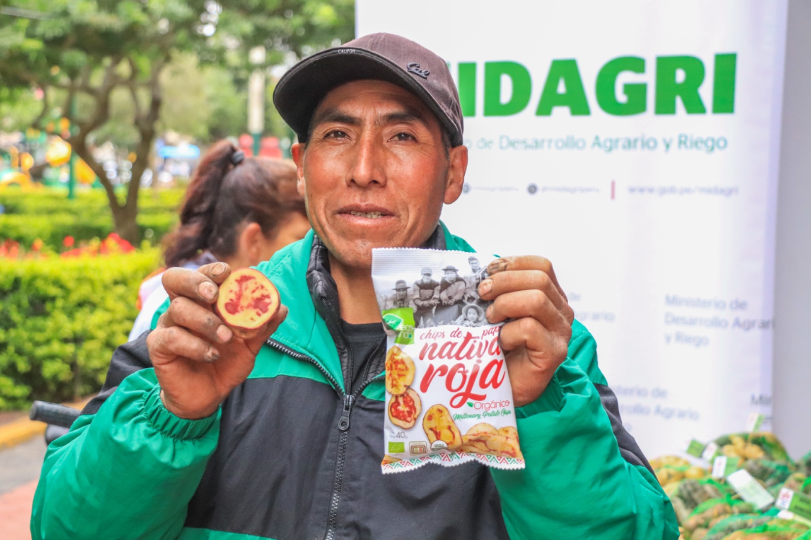 MIDAGRI: Más de 700 mil agricultores de 19 regiones sustentan la producción de papa en el país