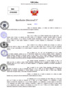 Vista preliminar de documento Resolucion Directoral N° 003290-2025