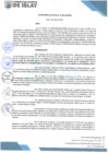 Vista preliminar de documento RG 49-2025-MDI-GM