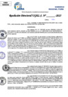 Vista preliminar de documento Resolucion Directoral N° 003294-2025