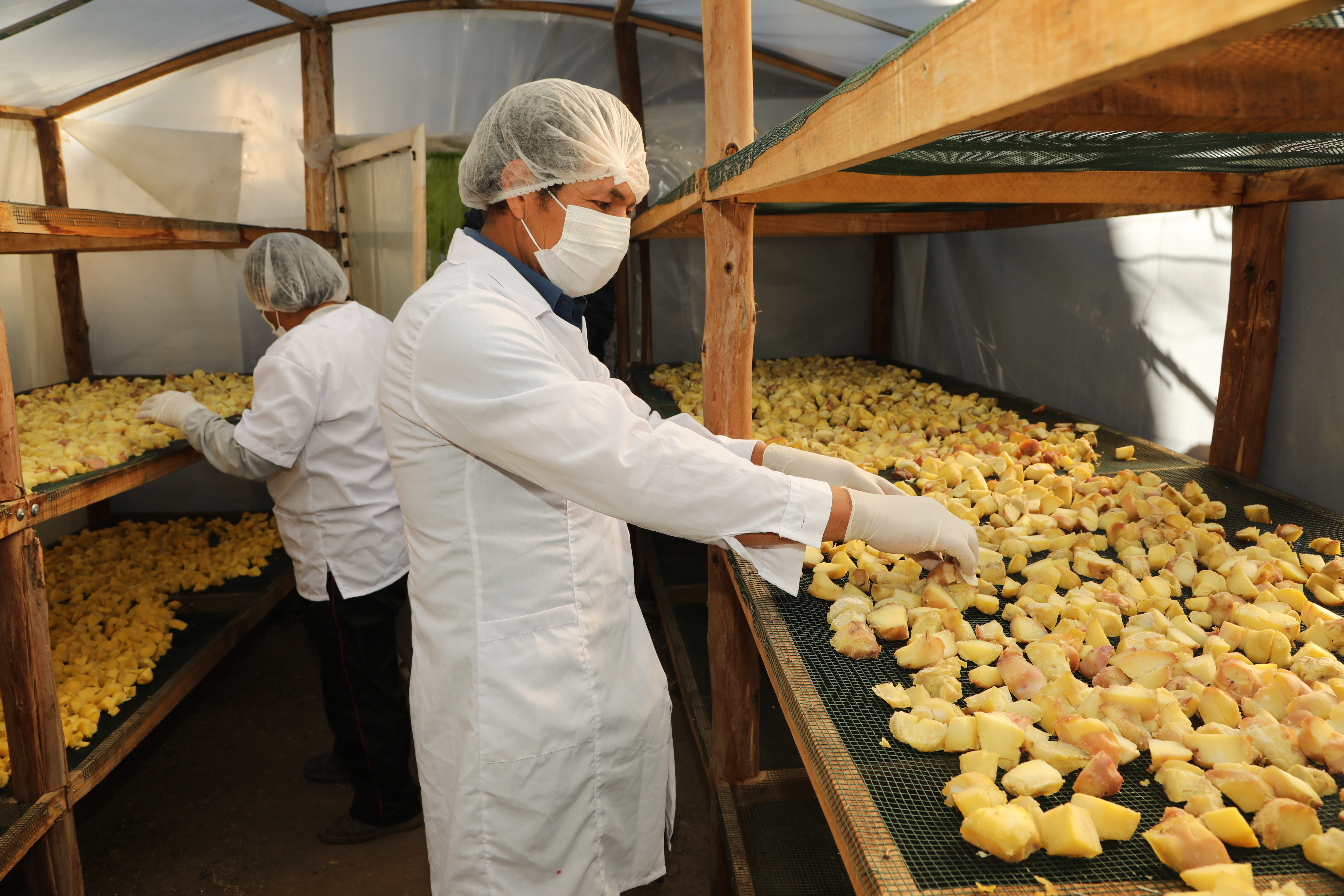 Midis capacita a productores de papa en comunidades andinas 
