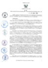 Vista preliminar de documento RER.309