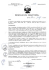 Vista preliminar de documento R.D. Nº 264-2025