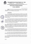 Vista preliminar de documento RESOLUCION DE GERENCIA MUNICIPAL N° 0119-2025-GM-MPGSC