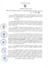 Vista preliminar de documento GRDS.198