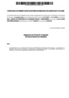 Vista preliminar de documento Constancia de Presentación (01/01/2023 - 31/12/2023)