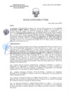 Vista preliminar de documento RD-2337-2025-DSAIA-DIRIS-LE-MINSA