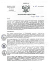 Vista preliminar de documento RD-060-2021-DG-INCN