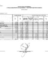 Vista preliminar de documento Avance presupuestal de ingresos, gastos y flujos de caja 2020 - I trimestre