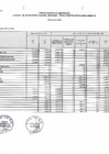 Vista preliminar de documento Avance presupuestal de ingresos, gastos y flujos de caja 2021 - IV trimestre