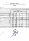 Vista preliminar de documento Avance presupuestal de ingresos, gastos y flujos de caja 2024 - IV trimestre
