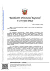 Vista preliminar de documento RDR-1718-2025-DRELM