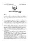 Vista preliminar de documento R.D. Nº 188-2025.