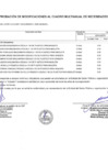 Vista preliminar de documento ANEXO 06 APROBACION DE MODIFICACION AL CMN N° 170