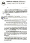 Vista preliminar de documento 222-2025-GM-MPS