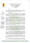 Vista preliminar de documento RG 146-2025-GM-MDT