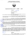 Vista preliminar de documento RD 1688-2025 NX