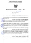 Vista preliminar de documento RD 1689-2025 NX