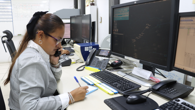 Día de los operadores de servicio de información de vuelo 