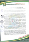 Vista preliminar de documento R.M.N°328-2025-GEMU