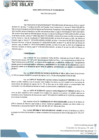 Vista preliminar de documento RG 034-202-MDI-GM
