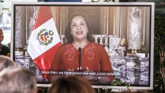 Perú celebra el Día Mundial de la Papa en la FAO