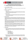Vista preliminar de documento TDR