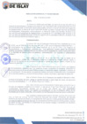 Vista preliminar de documento RG 038-2025