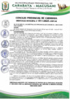 Vista preliminar de documento ORDENANZA MUNICIPAL N° 011-2025-CMPC-M