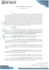 Vista preliminar de documento RG028-2025-MDI-GM