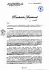 Vista preliminar de documento RD N°345-2025-DG-DIRIS-LC