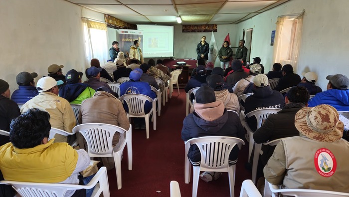 Cuenta regresiva para el V Censo Nacional de Vicuñas: Ayacucho fue el epicentro del entrenamiento técnico para su ejecución