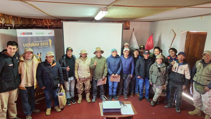 Cuenta regresiva para el V Censo Nacional de Vicuñas: Ayacucho fue el epicentro del entrenamiento técnico para su ejecución