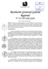Vista preliminar de documento RGGR 215-2025-GRL-GGR