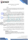 Vista preliminar de documento RG046-2025
