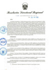 Vista preliminar de documento RDR-356-2025