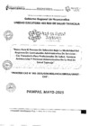 Vista preliminar de documento BASES PROCESO CAS N°005-2025