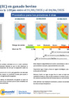 Vista preliminar de documento boletinITH310525