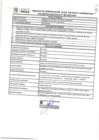 Vista preliminar de documento 005 PERFILES DE PUESTO 728 002-2025-MPP