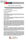 Vista preliminar de documento TDR