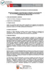 Vista preliminar de documento TDR
