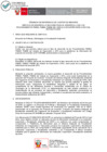 Vista preliminar de documento TDR - 2650