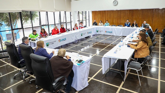 Lince refuerza trabajo articulado para la inclusión social con II sesión de la IAL DIS